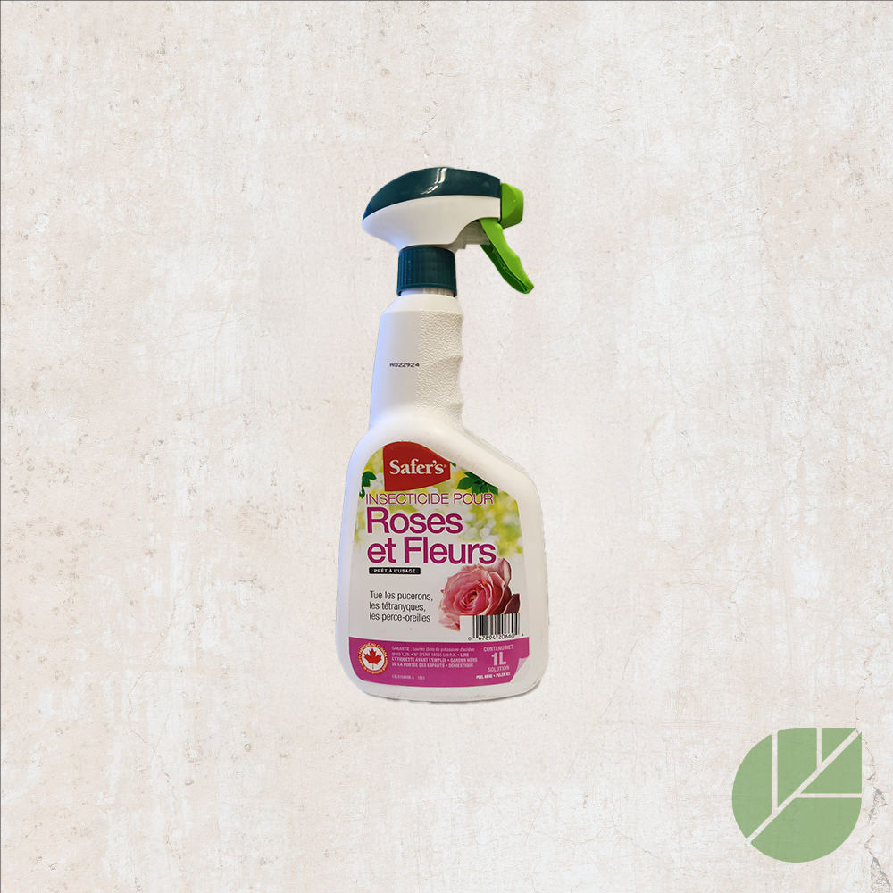 Safer's Insecticide for Roses and Flowers
