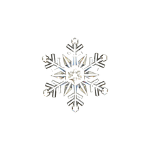 Ornement flocon de neige transparent – 9 po — Branches géométriques — vue individuelle sur fond blanc