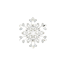 Ornement flocon de neige transparent – 9 po — Branches ramifiées — vue individuelle sur fond blanc