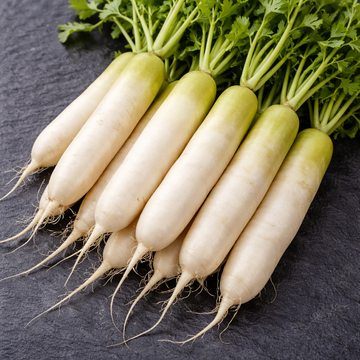 Organic 'Daikon' radish