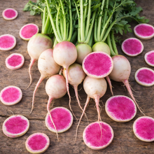 Organic 'Watermelon' Radish