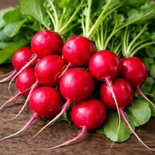 Organic 'Raxe' radish