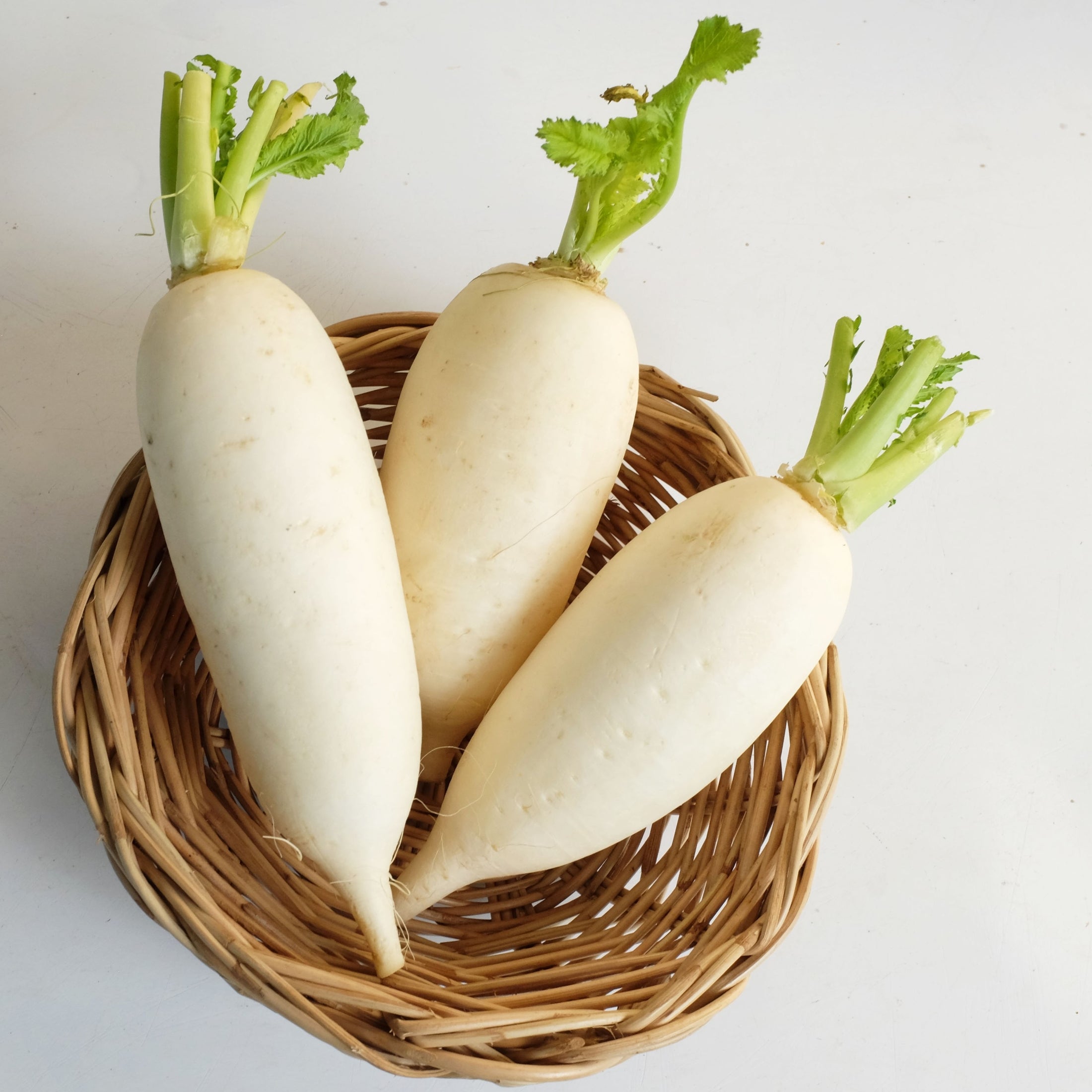 Winter radish 'China White'