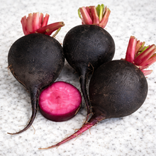 Organic 'Scarlet Black' Winter Radish