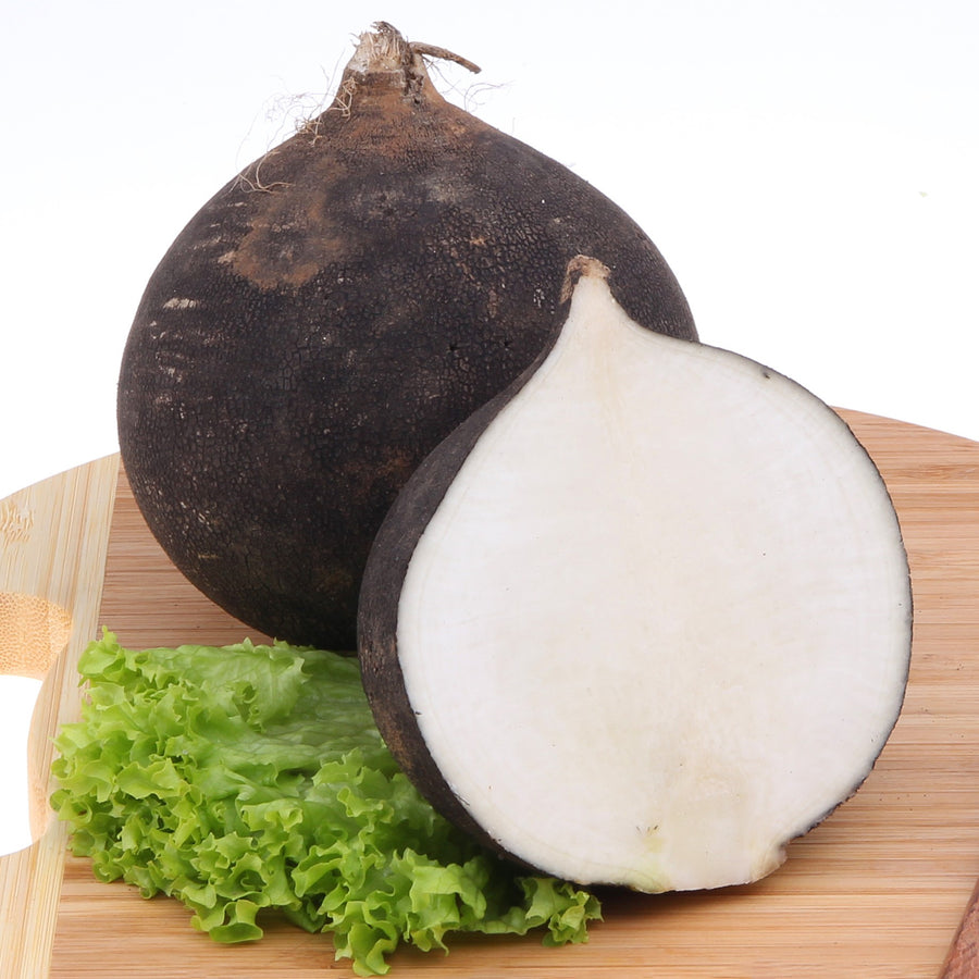 Radis d'hiver 'Round Black Spanish'