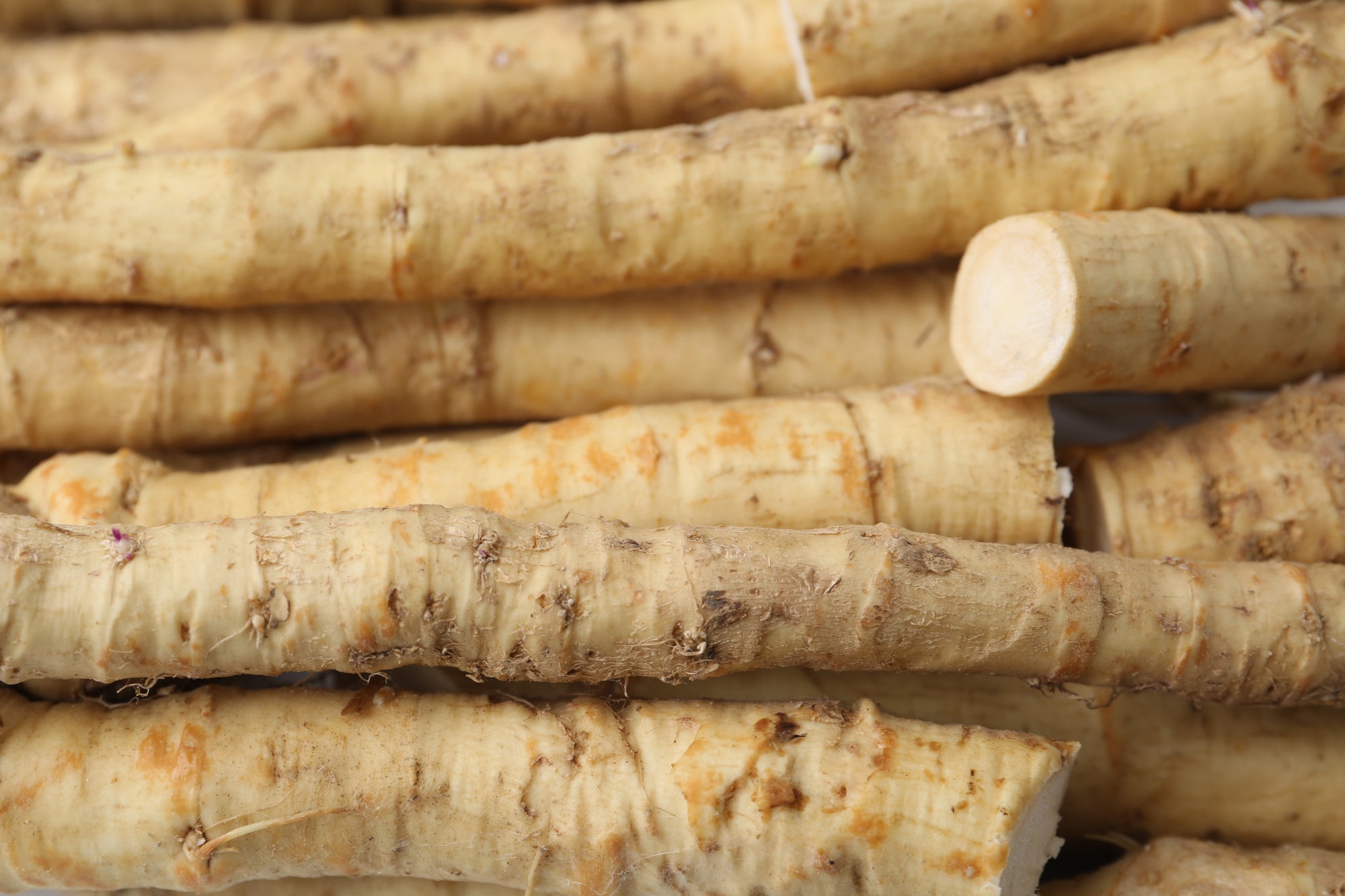 Horseradish