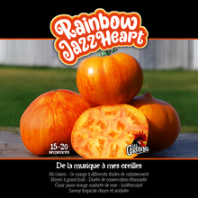 Rainbow Jazz Heart tomato (<em>Solanum lycopersicum</em> ‘Rainbow Jazz Heart’)
