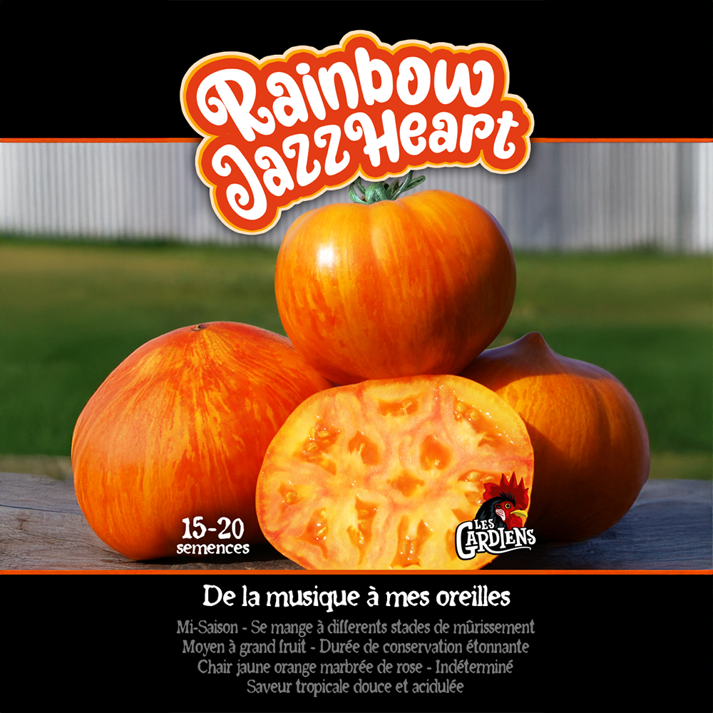 Rainbow Jazz Heart tomato (<em>Solanum lycopersicum</em> ‘Rainbow Jazz Heart’)