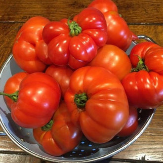 Organic 'Red Marmande' Tomato Seeds by Gaia, product image prepared for Canadian gardeners.