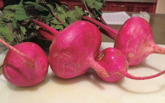 Organic Red Japanese Turnip