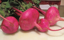 Organic Red Japanese Turnip