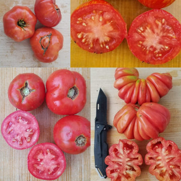 Organic 'Red Mix' Tomato