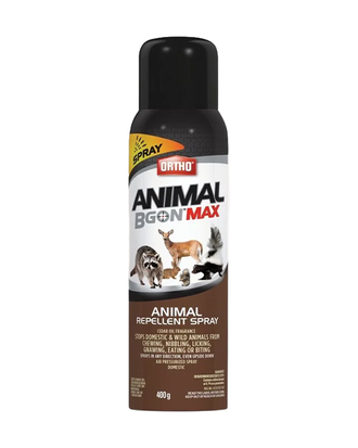 Répulsif pour animaux – Vaporisateur Ortho® Animal B Gon Max — photo sur fond blanc