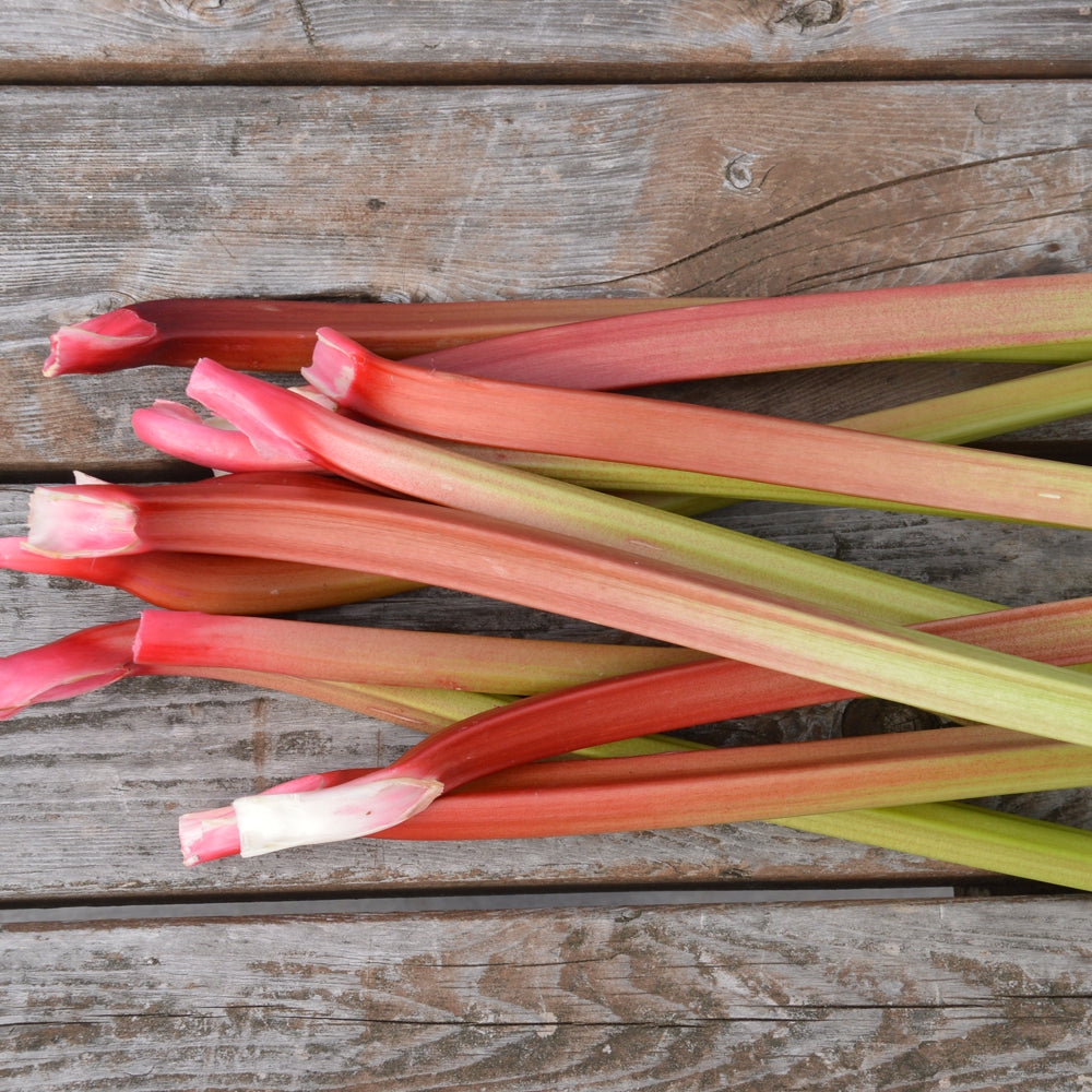 Rhubarbe Glaskins. Pétioles de rhubarbe roses et verts déposés sur du bois. Le cadrage permet de voir les formes, les couleurs et les détails du sujet représenté. Les contours se détachent du fond de l’image, avec des différences de teinte et de texture visibles sur les surfaces. Cette vue accompagne la présentation du produit dans la boutique.