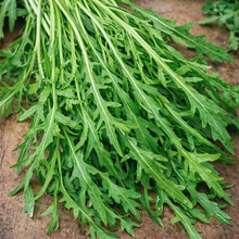 Roquette bio