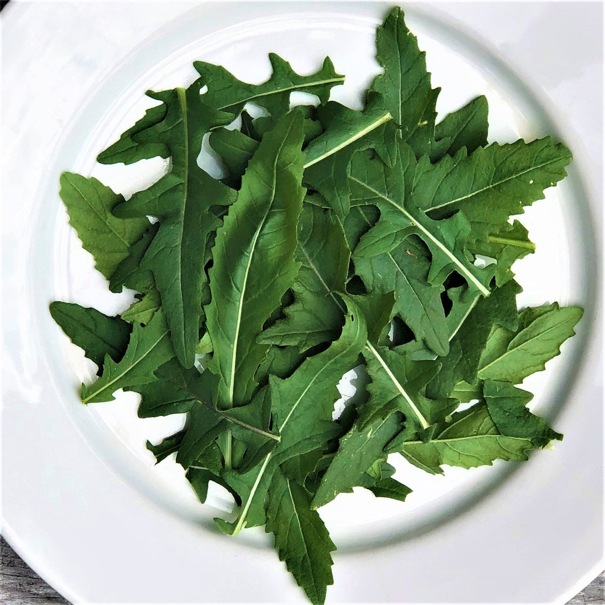 Roquette Japonaise Wasabi. Feuilles de roquette découpées dans une assiette blanche. Le cadrage permet de voir les formes, les couleurs et les détails du sujet représenté. Les contours se détachent du fond de l’image, avec des différences de teinte et de texture visibles sur les surfaces. Cette vue accompagne la présentation du produit dans la boutique.