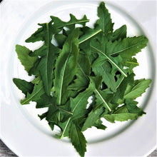 Roquette Japonaise Wasabi. Feuilles de roquette découpées dans une assiette blanche. Le cadrage permet de voir les formes, les couleurs et les détails du sujet représenté. Les contours se détachent du fond de l’image, avec des différences de teinte et de texture visibles sur les surfaces. Cette vue accompagne la présentation du produit dans la boutique.