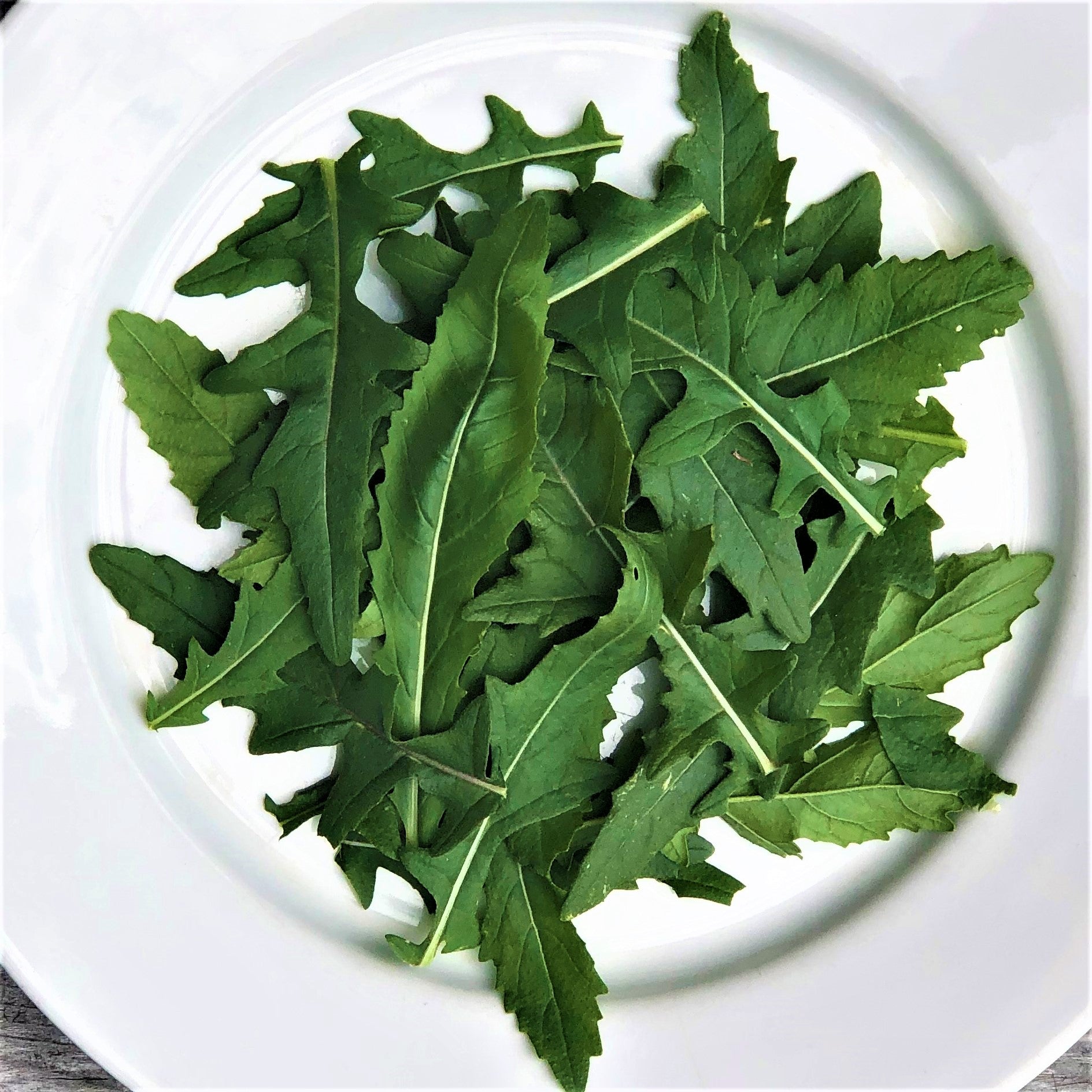 Roquette Japonaise Wasabi. Feuilles de roquette découpées dans une assiette blanche. Le cadrage permet de voir les formes, les couleurs et les détails du sujet représenté. Les contours se détachent du fond de l’image, avec des différences de teinte et de texture visibles sur les surfaces. Cette vue accompagne la présentation du produit dans la boutique.