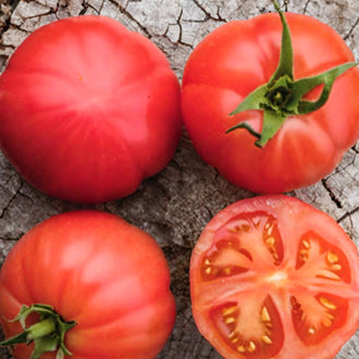 Organic 'Rose De Palerme' Tomato Seeds by Gaia, product image prepared for Canadian gardeners.
