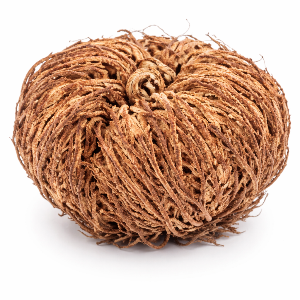 Rose of Jericho