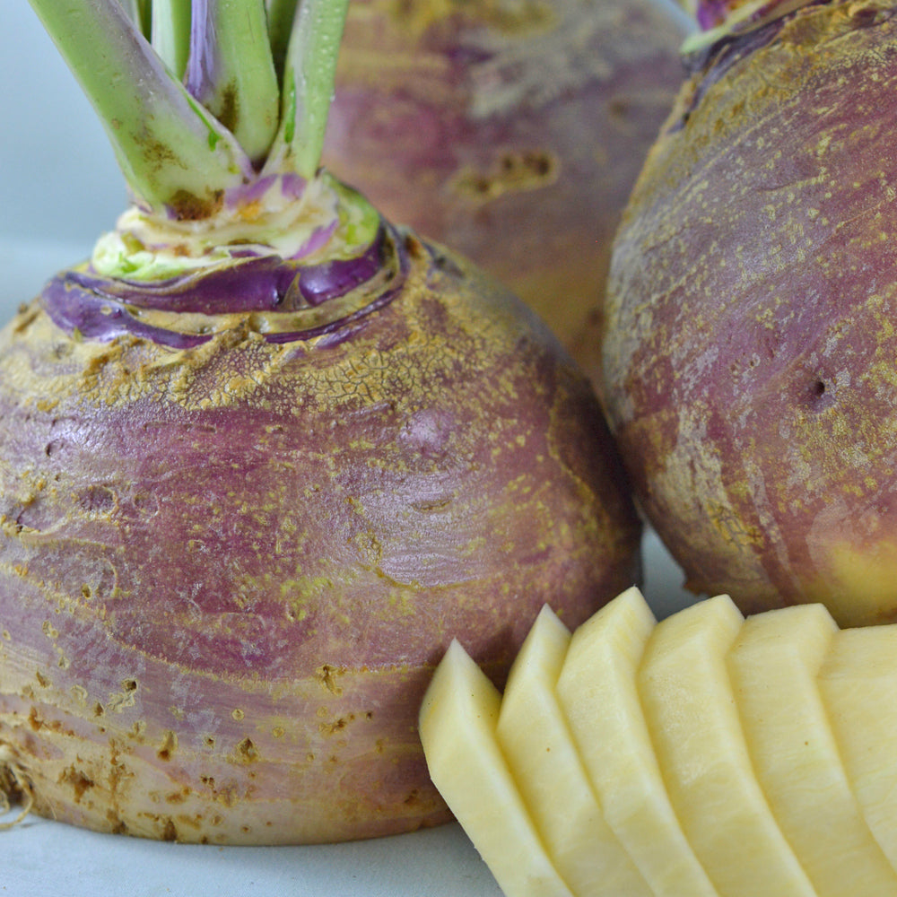 Organic 'Fortin' Rutabaga