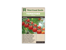 Sachet West Coast Seeds avec les mentions Tomatoes, Cherry et Sakura. La photo montre une grappe de tomates rouges brillantes attachées à une tige verte, devant un fond de feuillage flou. Un petit logo biologique rond apparaît à droite. Le nom Sakura est placé sur une bande foncée, sous le bandeau vert du sachet.