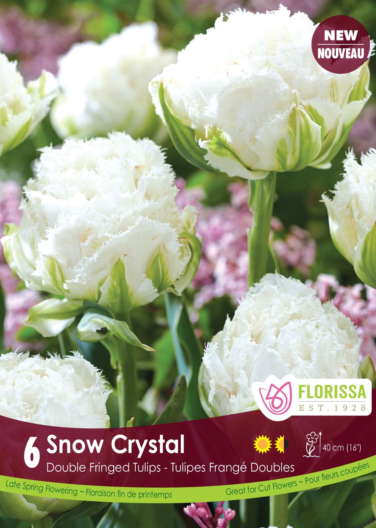 Tulipe Snow Crystal ( Tulipa ) : des tulipes doubles blanches au bord finement frangé. Le visuel Florissa présente la plante et son nom dans la partie inférieure de l’étiquette. La photographie occupe presque toute la surface, tandis que le bandeau du bas rassemble les indications du produit. Cette vue permet de reconnaître son apparence et de distinguer la variété présentée.