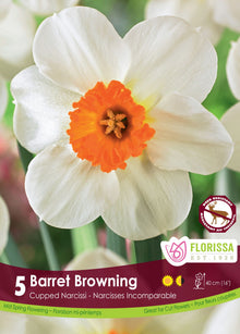 Narcisse Barrett Browning ( Narcissus ) : un narcisse blanc à petite couronne orange vif. Le visuel Florissa présente la plante et son nom dans la partie inférieure de l’étiquette. La photographie occupe presque toute la surface, tandis que le bandeau du bas rassemble les indications du produit. Cette vue permet de reconnaître son apparence et de distinguer la variété présentée.