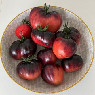 Tomate ‘Sgt Pepper’ – semences Gaia
