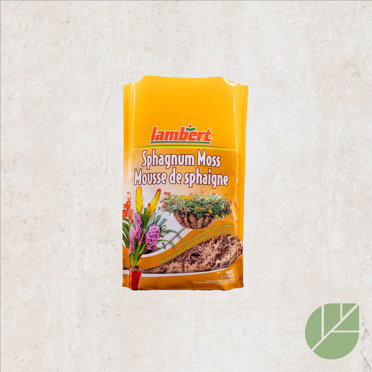 Mousse de sphaigne Lambert