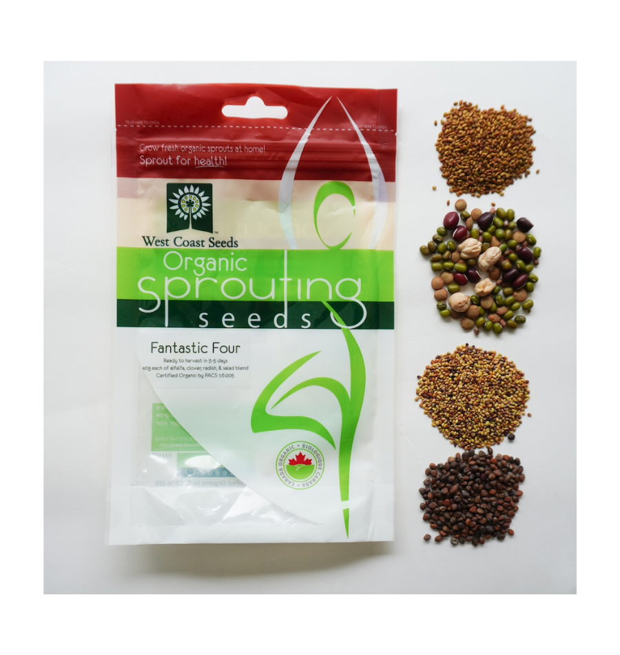 Sachet West Coast Seeds Fantastic Four sur fond blanc, avec une partie supérieure rouge et une étiquette verte. À droite, quatre petits tas de graines présentent des tailles et des couleurs différentes. La fenêtre du grand emballage laisse voir les sachets intérieurs. Le logo biologique canadien et l'indication de quatre portions de 40 g figurent sur le devant.