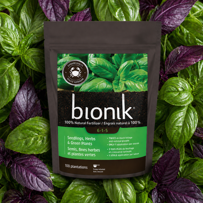 Sac d’engrais naturel Bionik 6-1-5 pour semis, fines herbes et plantes vertes, présenté devant un fond dense de feuilles de basilic vertes et pourpres.