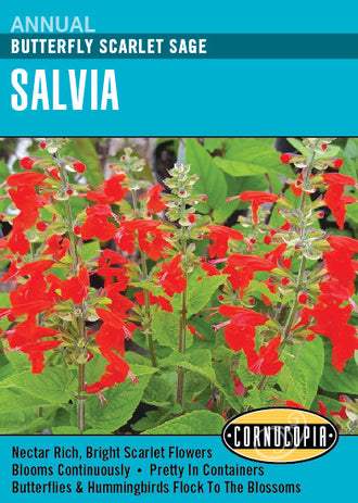 Visuel officiel de Cornucopia associé aux semences de Sauge écarlate, référence CS309. Cette référence propose une sauge ornementale écarlate. Elle se cultive pour la floraison décorative des massifs et des compositions saisonnières. Cette image accompagne la fiche de cette sélection et permet de repérer le produit correspondant dans le catalogue de semences.