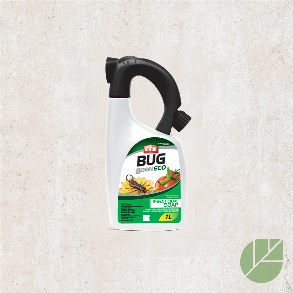 Ortho BUG Bgon ECO Concentrated Insecticide Soap – with Hose Adapter