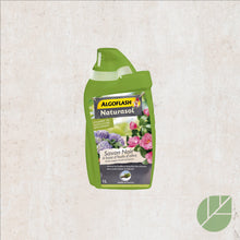 Algoflash concentrated black soap