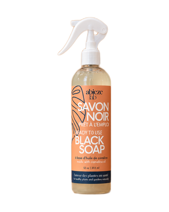 Savon noir prêt à l'emploi Abieze Lab — photo sur fond blanc