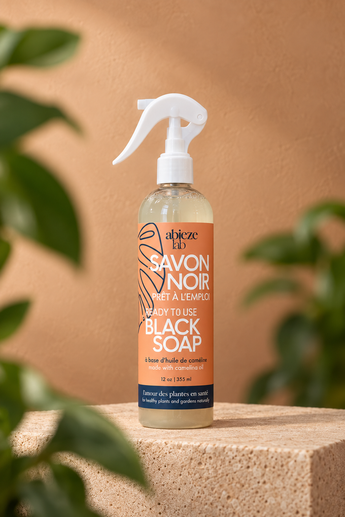 Savon noir prêt à l'emploi Abieze Lab