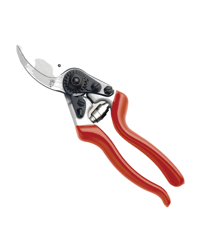 Sécateur à lame franche ultra robuste avec manche ergonomique — photo sur fond blanc