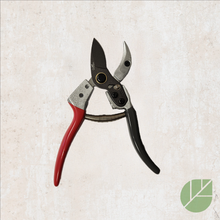 Gaian Anvil Pruner