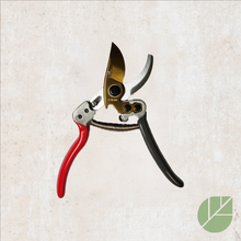 Gaian Curved Pruning Shears