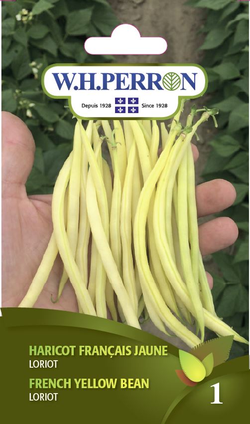 Sachet de semences W.H. Perron : Haricot français jaune (Phaseolus vulgaris ‘Loriot’). L’emballage présente le nom de la sélection et une illustration de la plante ou de la récolte. Cette photographie montre la face avant du sachet, avec les renseignements imprimés visibles et les éléments graphiques qui permettent de reconnaître le produit parmi les autres semences de la gamme.