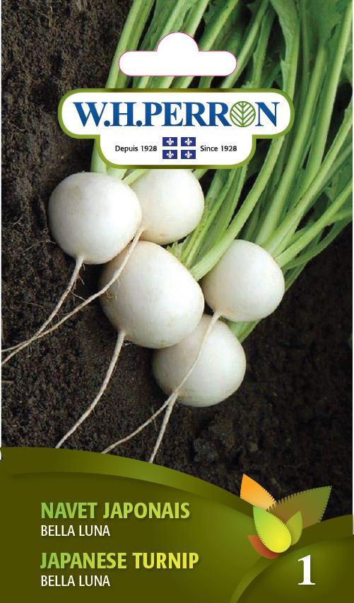 Sachet de semences W.H. Perron : Navet japonais F1 (Brassica rapa var. rapa ‘Bella Luna’). L’emballage présente le nom de la sélection et une illustration de la plante ou de la récolte. Cette photographie montre la face avant du sachet, avec les renseignements imprimés visibles et les éléments graphiques qui permettent de reconnaître le produit parmi les autres semences de la gamme.