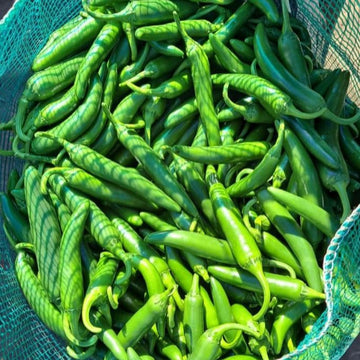 Piment fort 'Serrano Huasteca' bio
