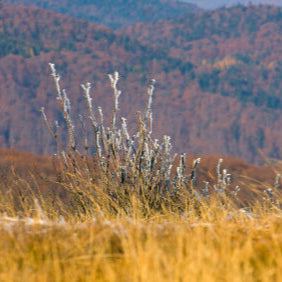 Mélange  'Chalet et propriétés rurales'