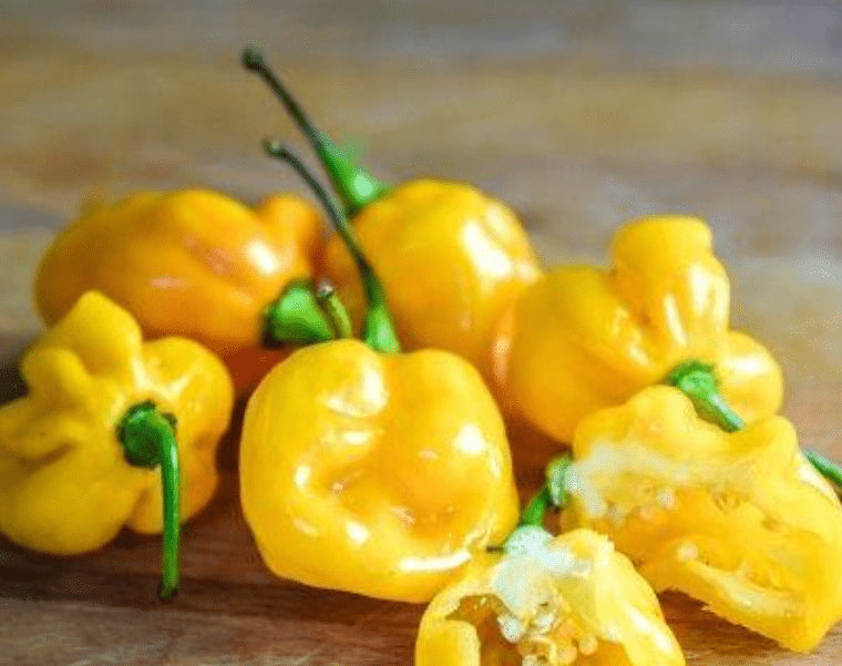 Organic 'Small Yellow Cherry' hot pepper