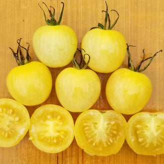 Organic 'Snow White Cherry' Tomato Seeds by Gaia, product image prepared for Canadian gardeners.