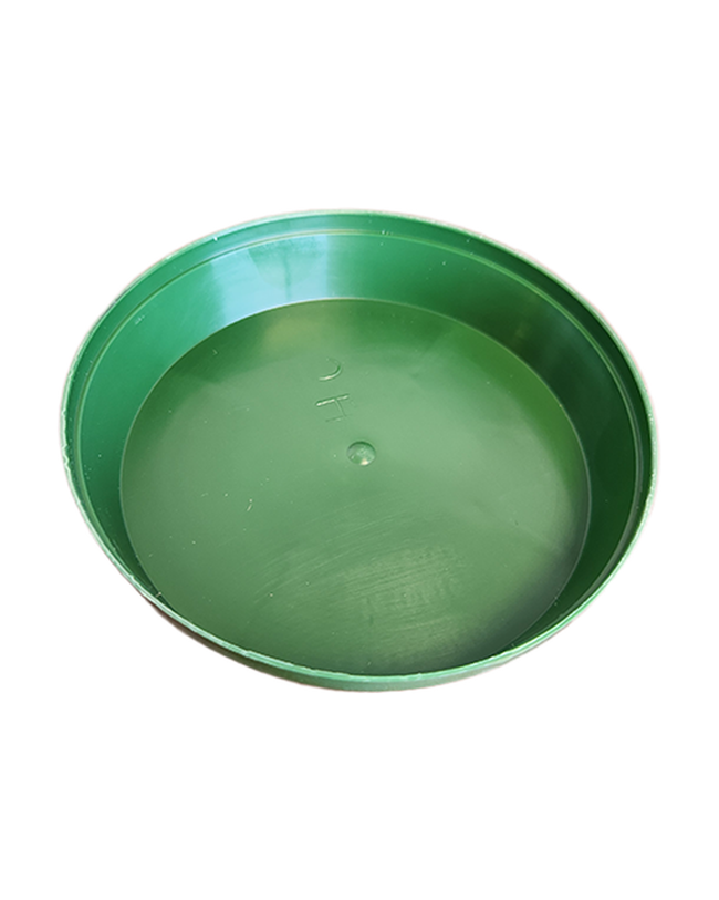 Soucoupe verte en plastique pour pot de culture — photo sur fond blanc