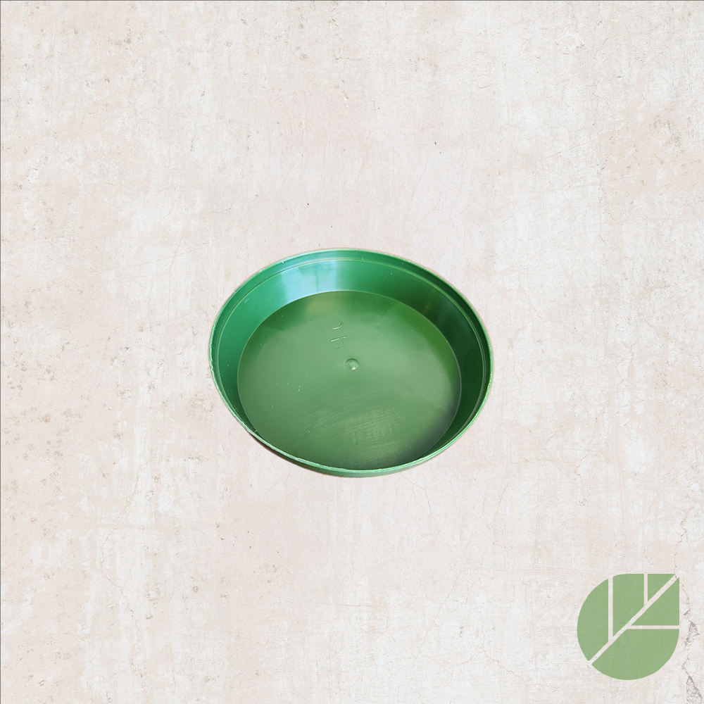 Green plastic saucer for plant pot