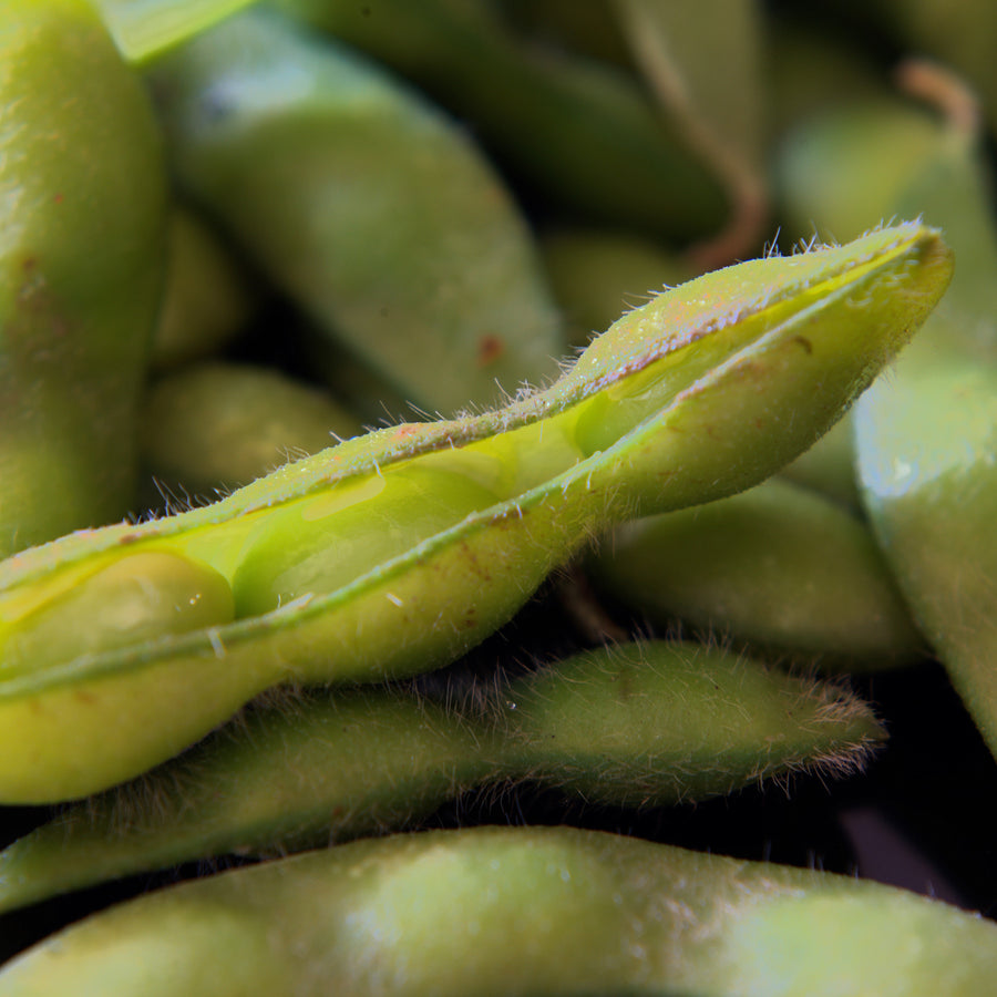 Edamame Soybeans
