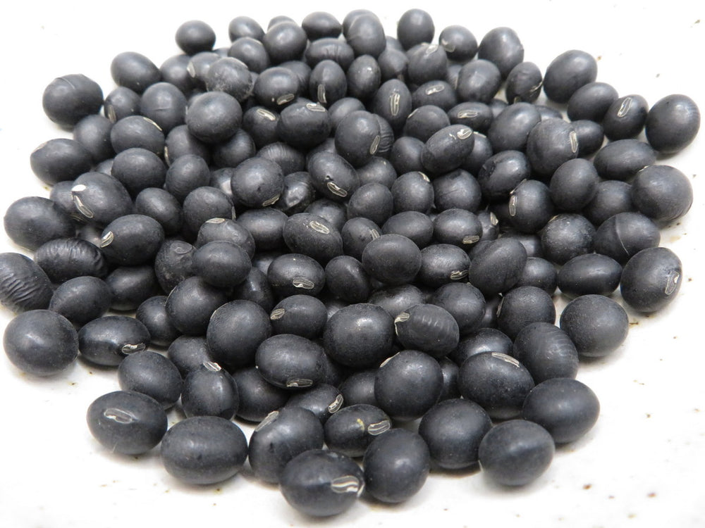 Soya 'Hokkaido Black'